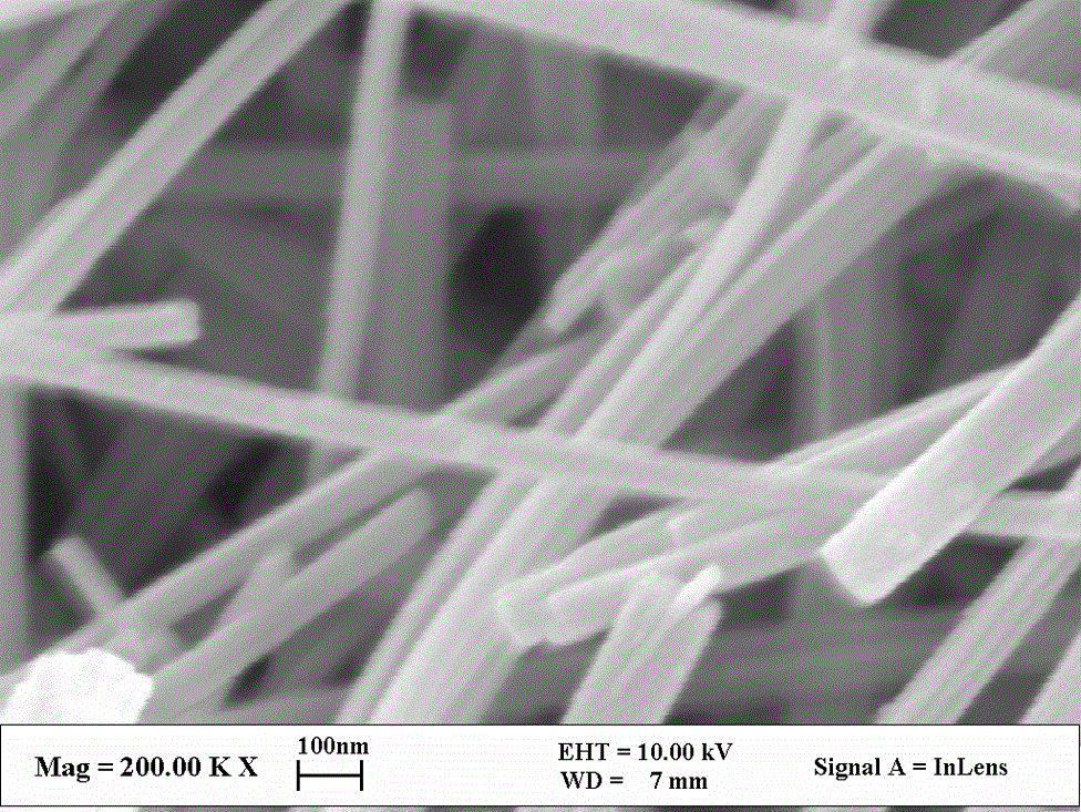 A composite photoanode for paper-type perovskite solar cells and its preparation method