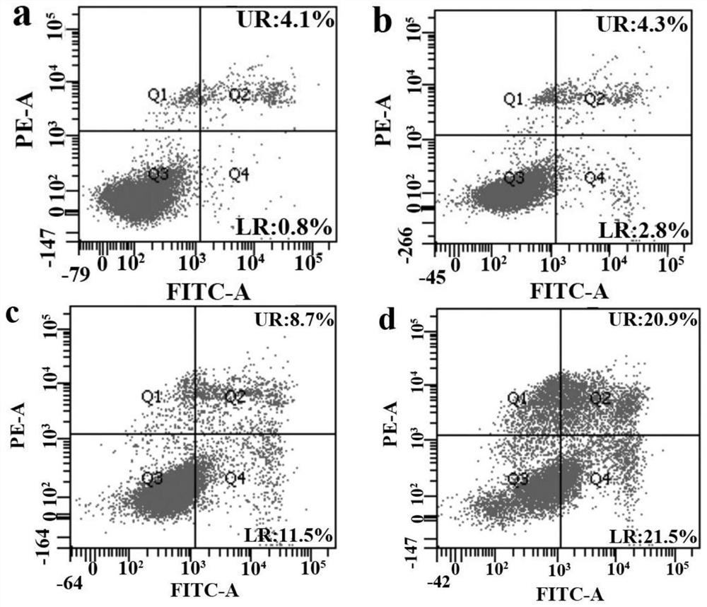 Preparation of anti-cancer lipopeptide and application of anti-cancer lipopeptide in anti-tumor treatment