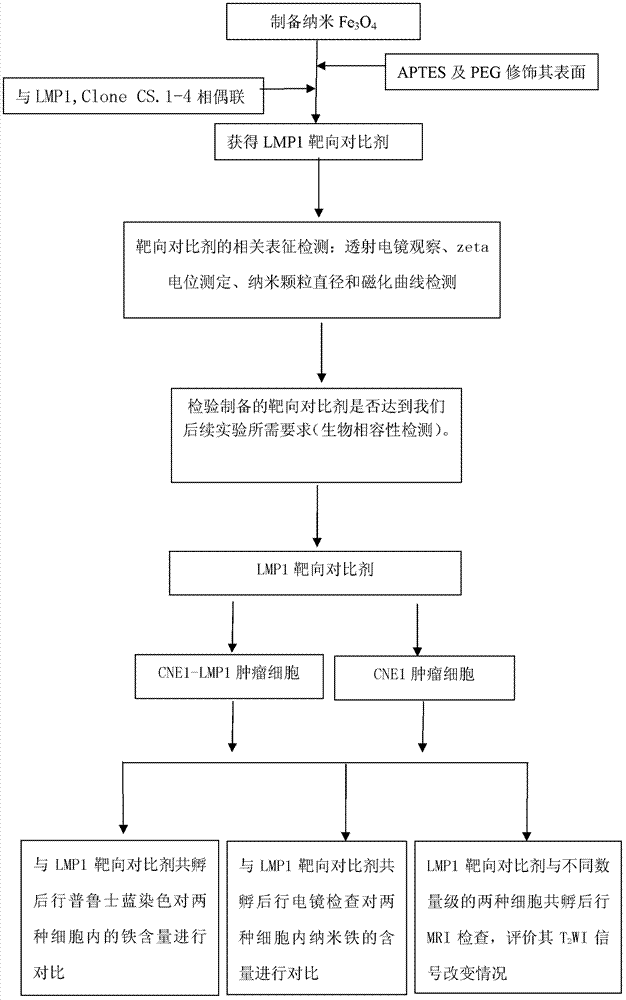 Nasopharyngeal carcinoma targeted magnetic resonance contrast agent and preparation method thereof