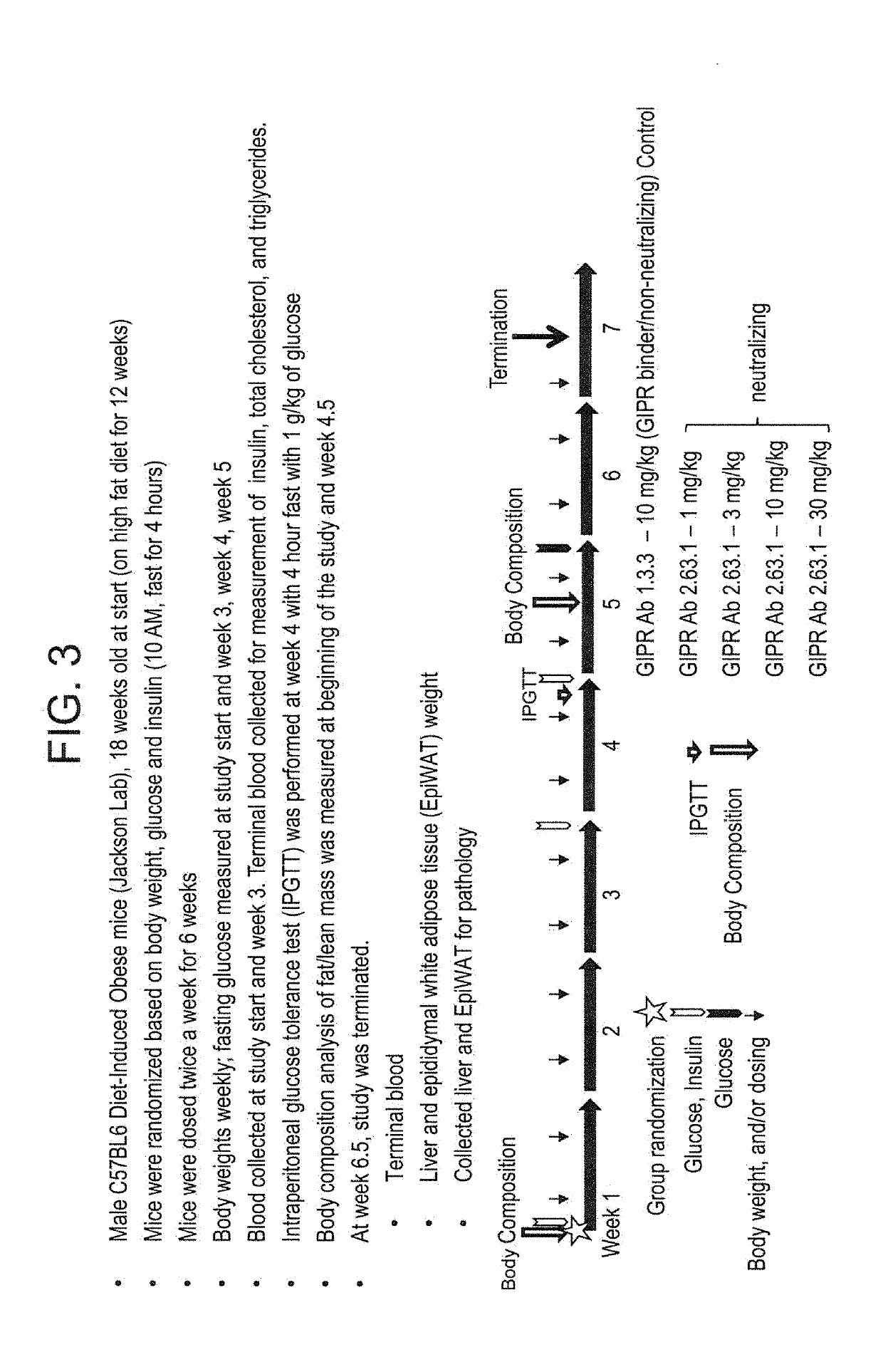 Method of treating or ameliorating metabolic disorders using binding proteins for gastric inhibitory peptide receptor (GIPR) in combination with GLP-1 agonists