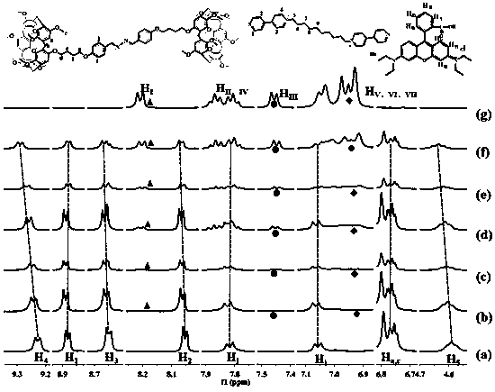 Supramolecular polymer assembled by main body and objective body based on double-column [5] arene, as well as preparation and application thereof