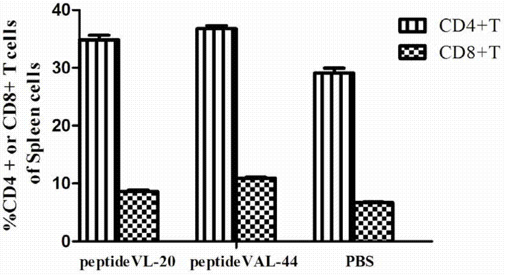 HCV (hepatitis C virus) poly-epitope peptide vaccine and application thereof