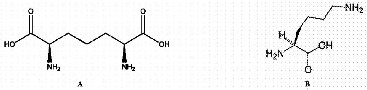 Heterocyclic inhibitors of lysine biosynthesis via the diaminopimelate pathway