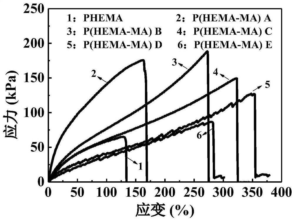 High-toughness hydrogel based on PHEMA as well as preparation method and application of the high-toughness hydrogel
