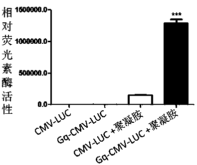 G-tetramer covalently coupled DNA molecule, DNA self-transfection kit and application