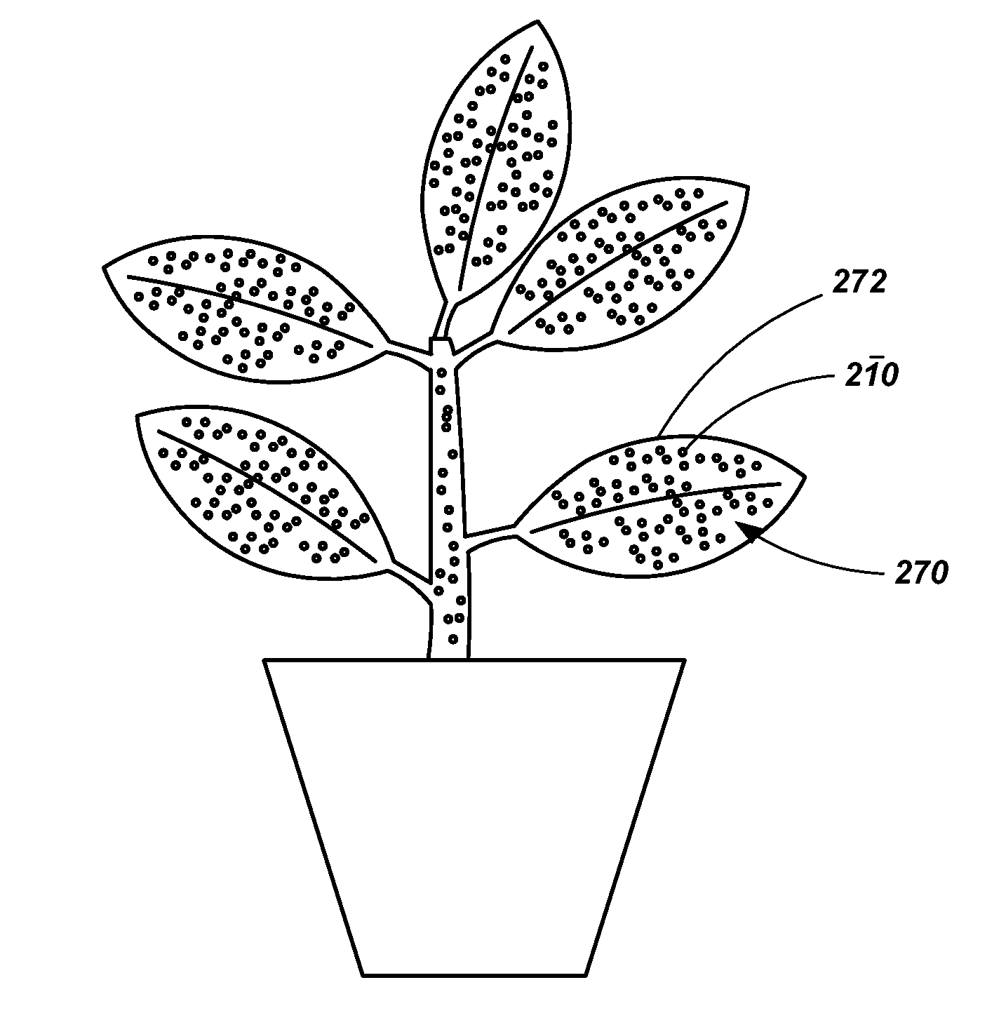 Apparatuses, systems and methods for enhancing plant growth