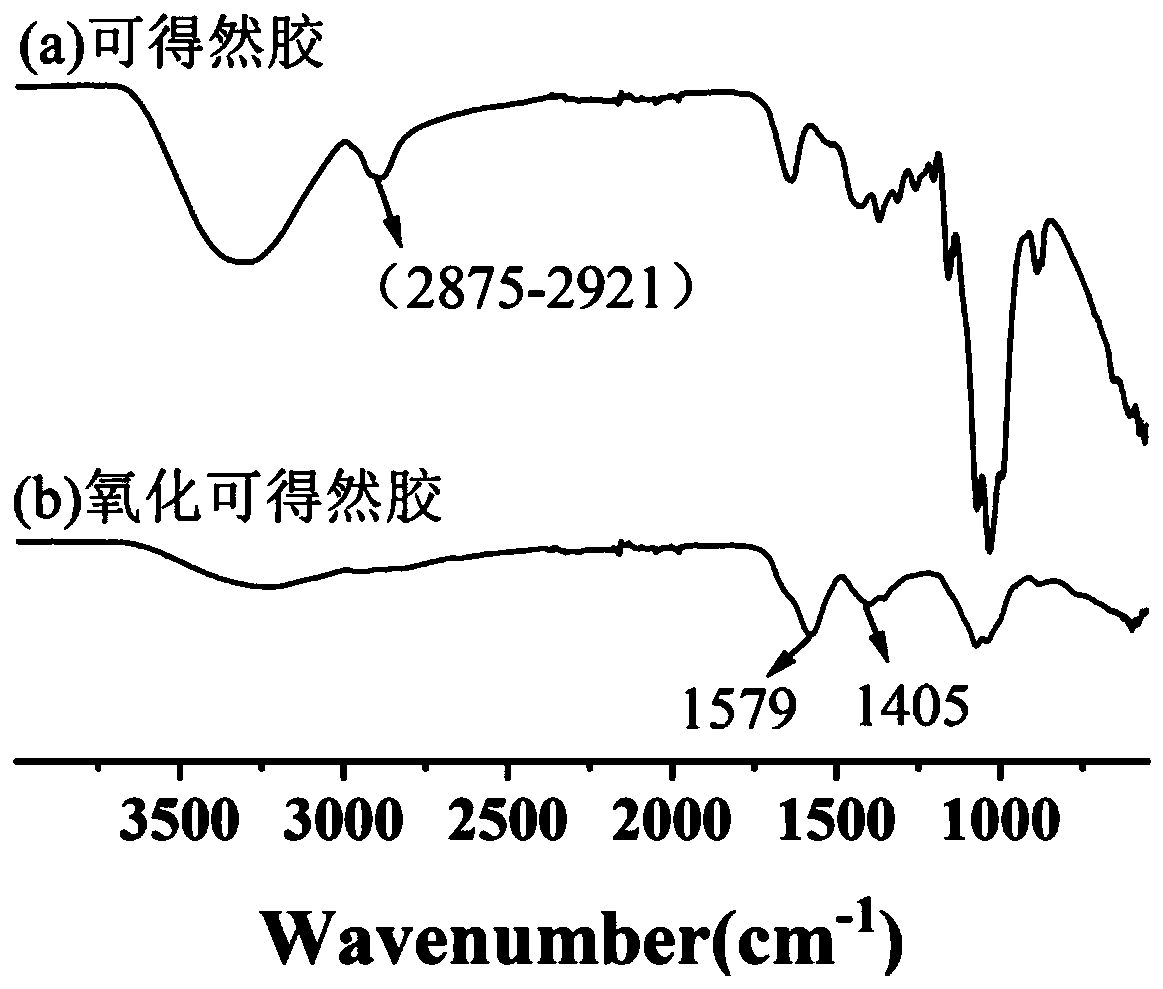 preparation-method-of-curdlan-oxide-eureka-wisdom-buds-develop