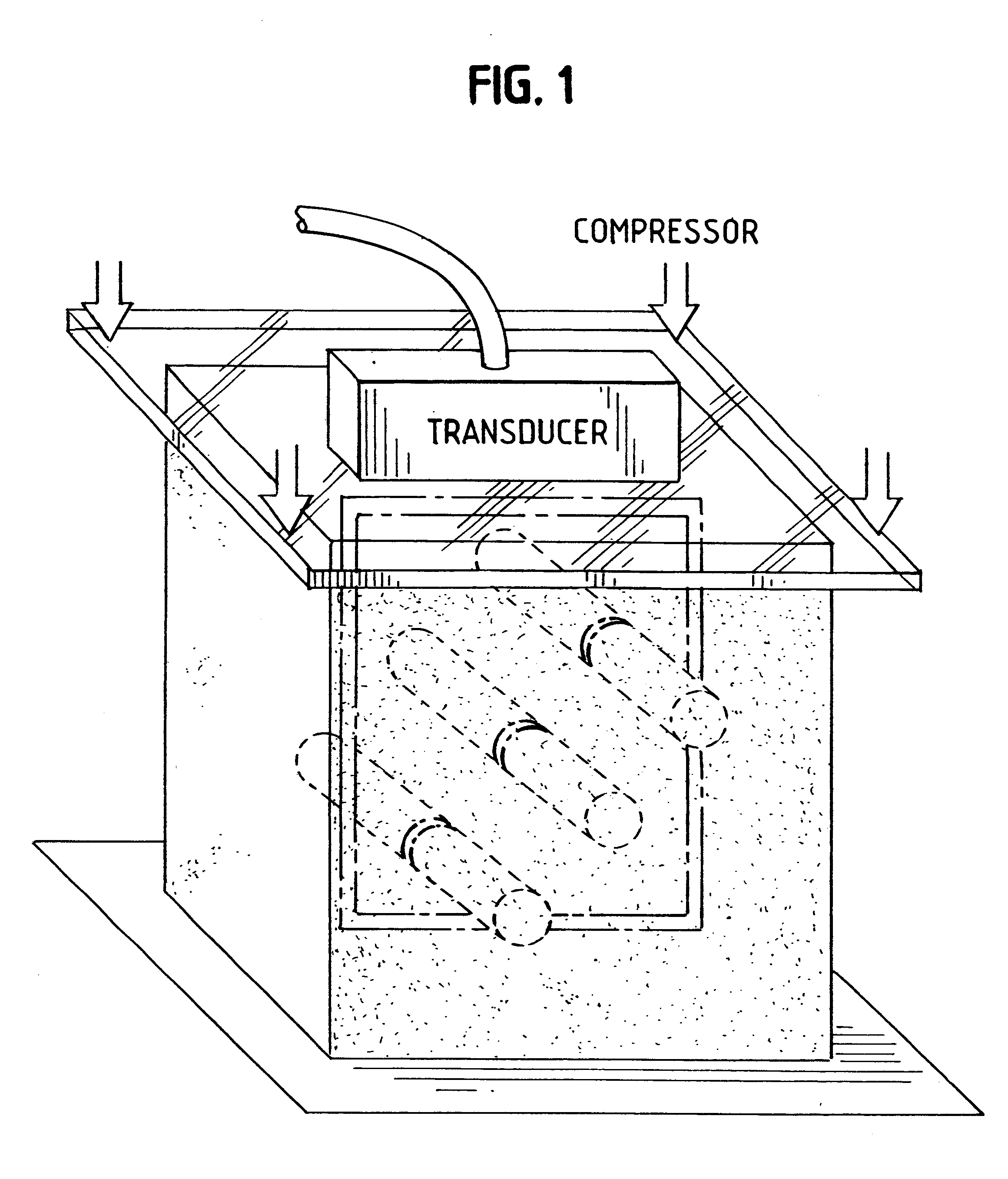 Method and apparatus for motion estimation within biological tissue