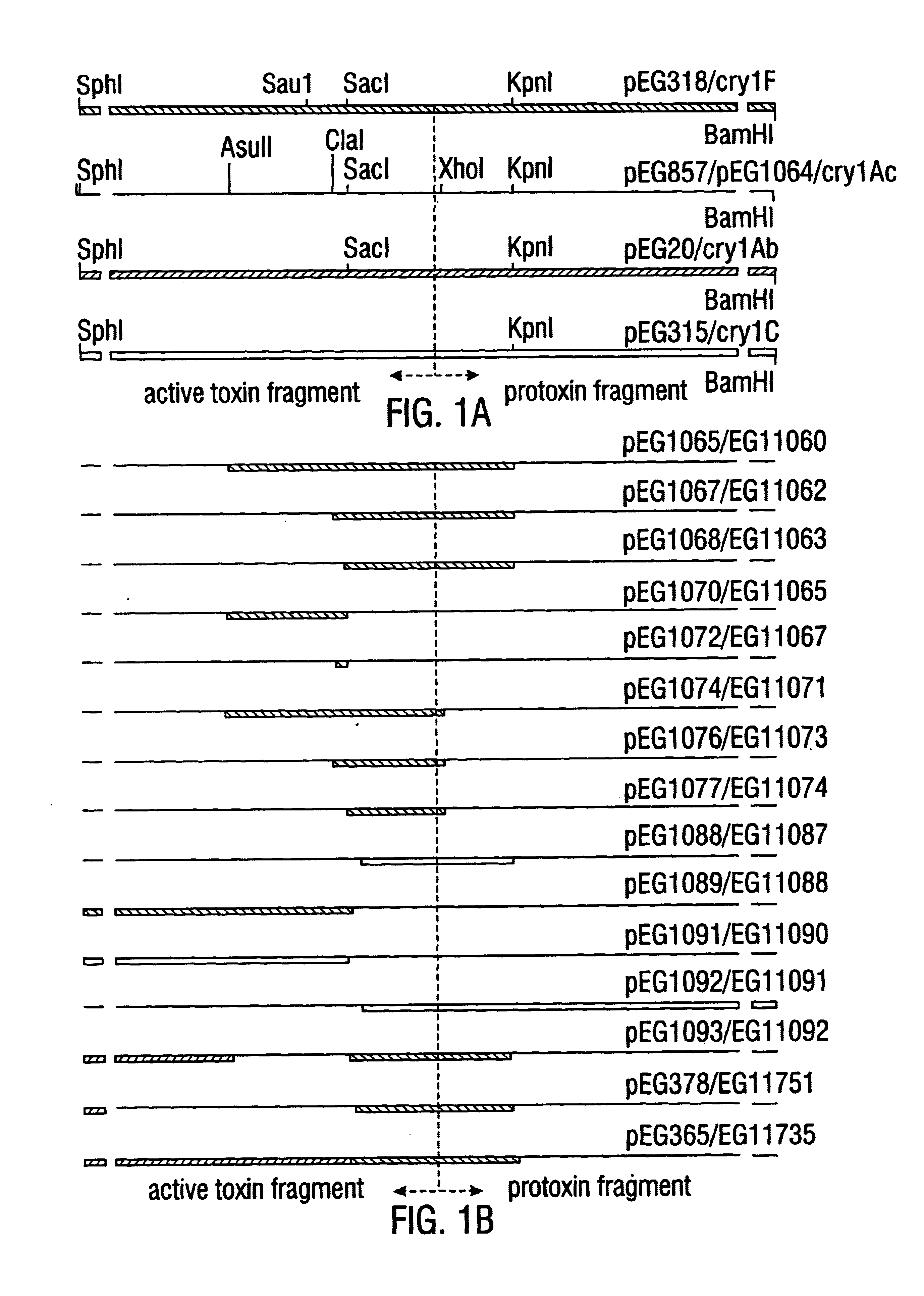 Broad-spectrum delta-endotoxins