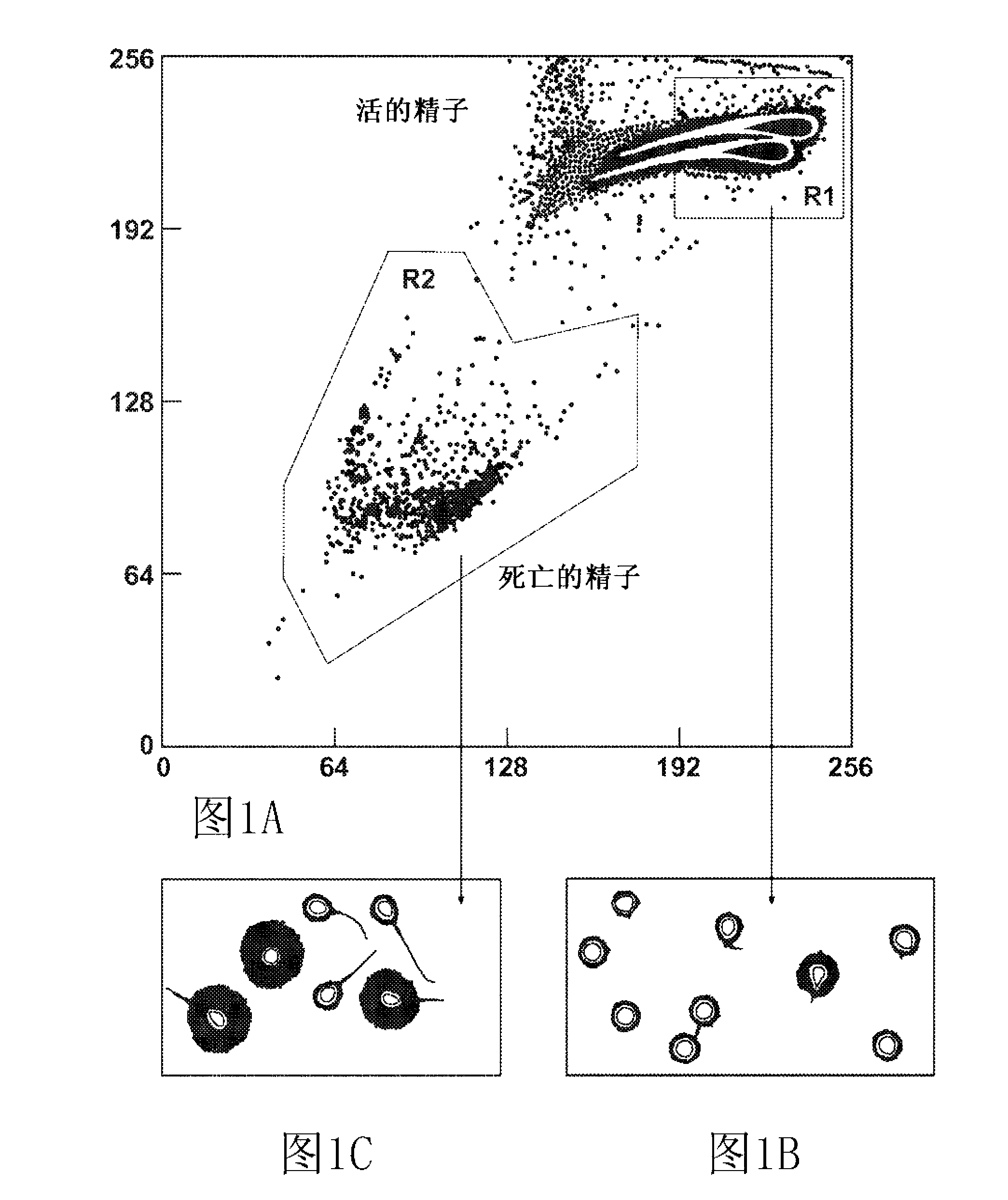Methods and systems for reducing dna fragmentation in a processed sperm sample