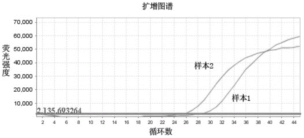 Pyrophosphoric acid sequencing method combined with fluorogenic quantitative PCR technology