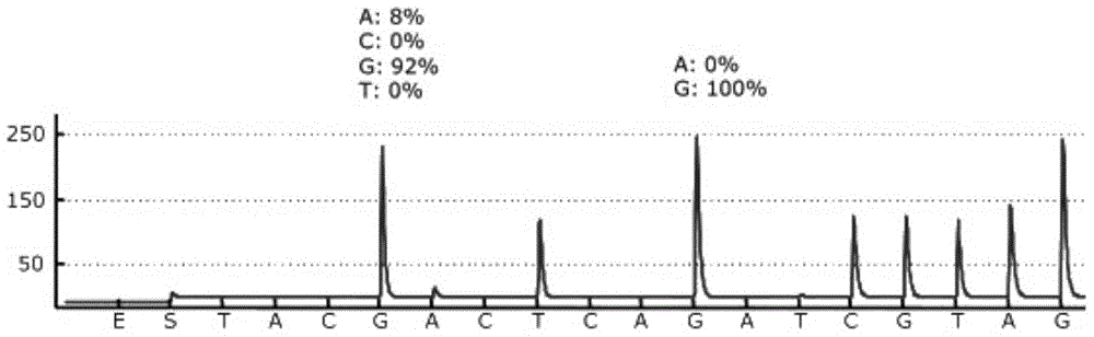 Pyrophosphoric acid sequencing method combined with fluorogenic quantitative PCR technology