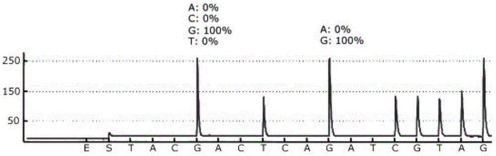 Pyrophosphoric acid sequencing method combined with fluorogenic quantitative PCR technology