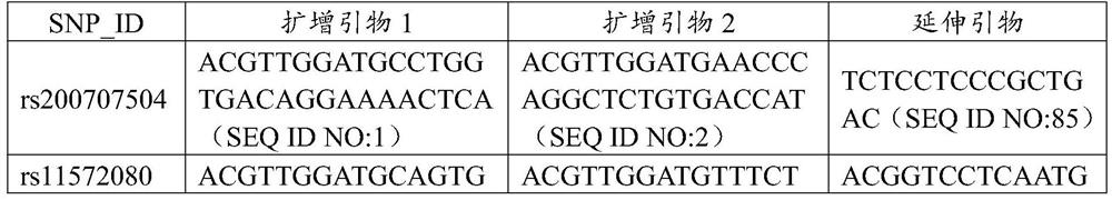 Primer group for amplifying children individualized medication gene sites, primer group for detection and application thereof