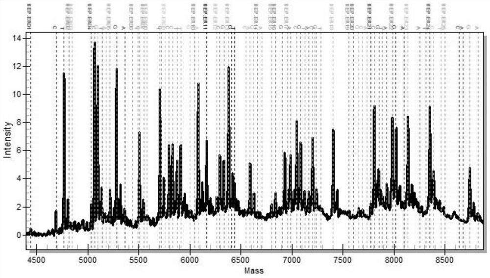 Primer group for amplifying children individualized medication gene sites, primer group for detection and application thereof