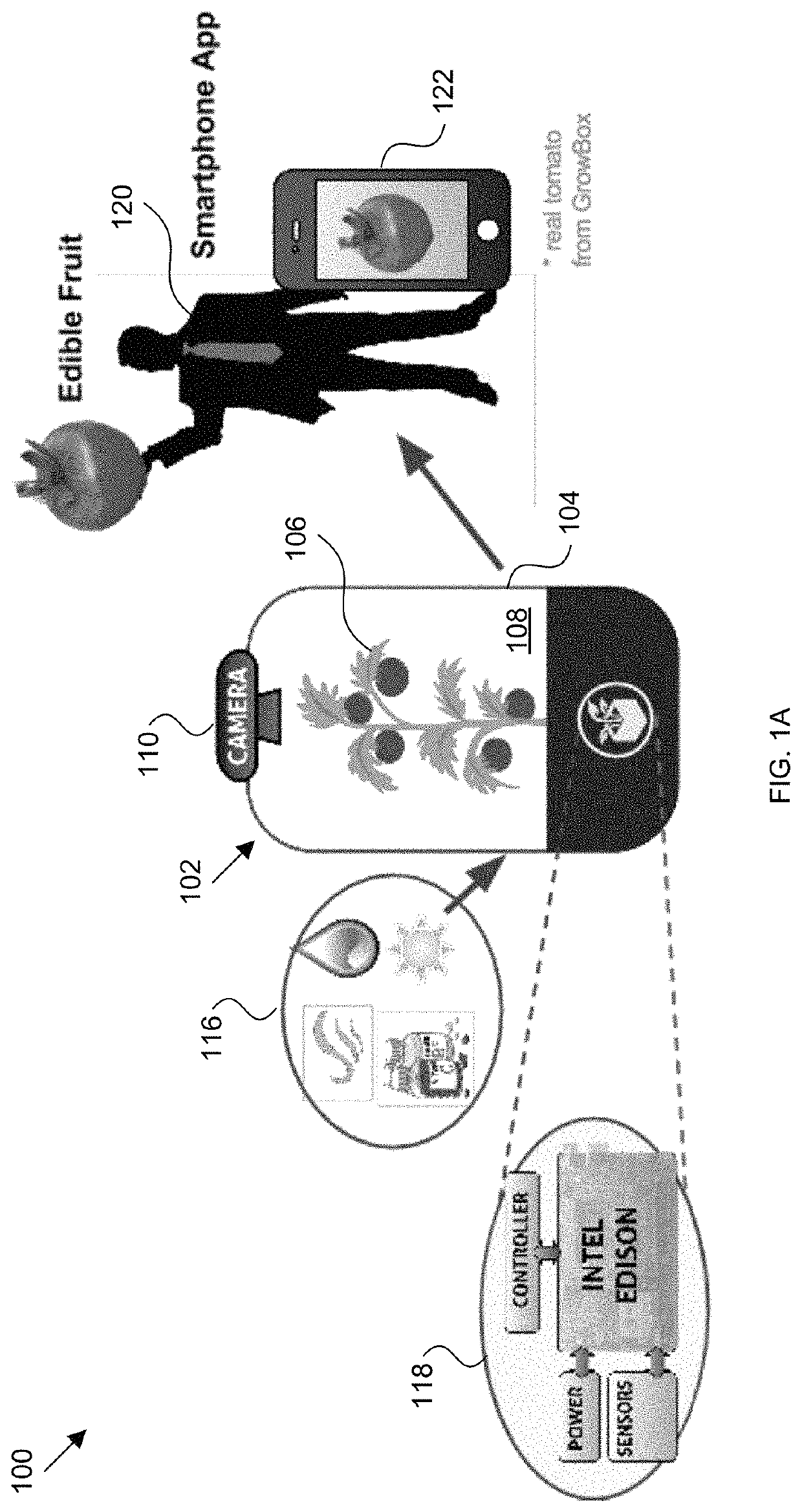 Autonomous plant growing systems