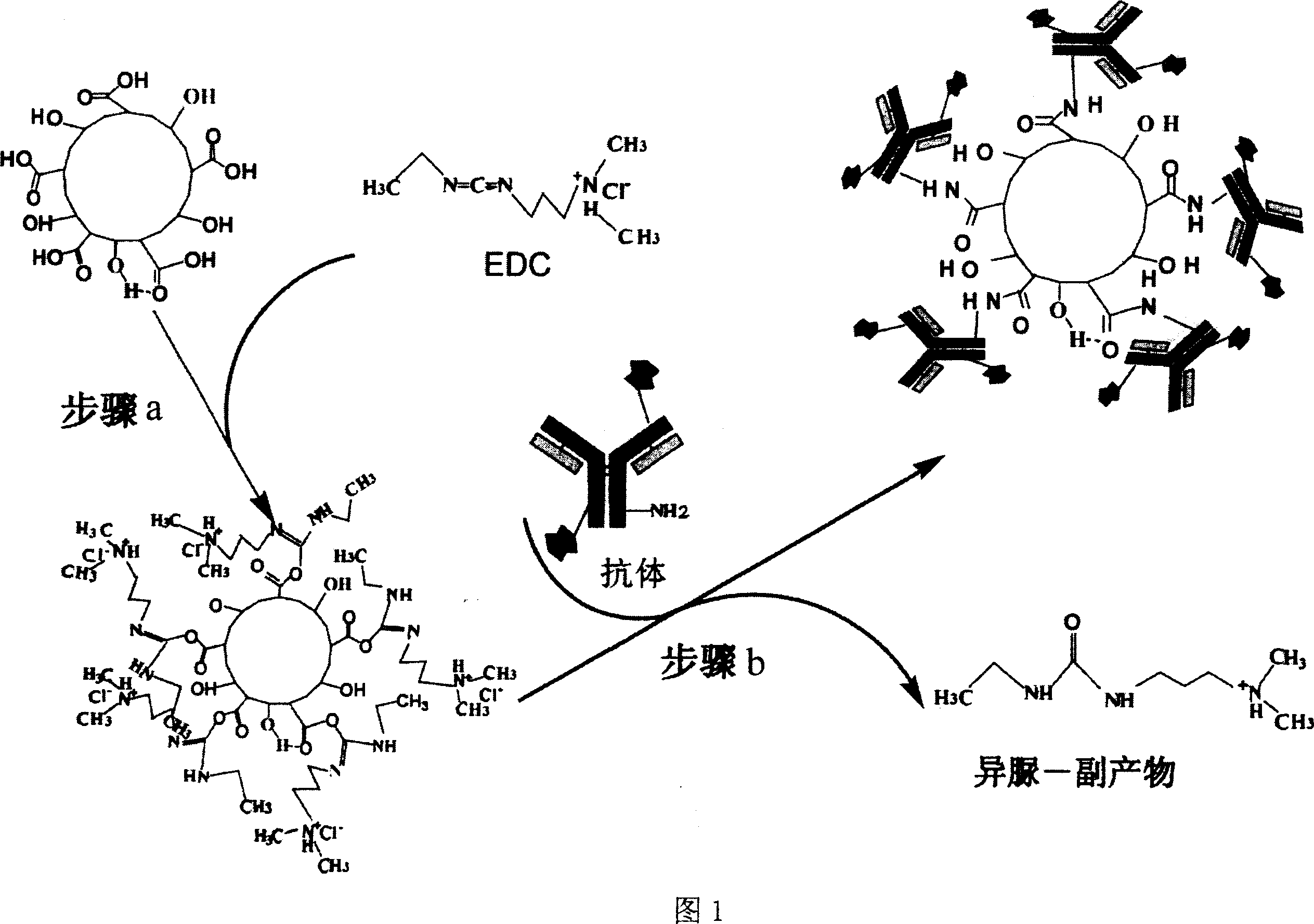 The coupling substrate between magnetic resonance imaging contrast agent based on metal fullerene and antibody and the detecting technology