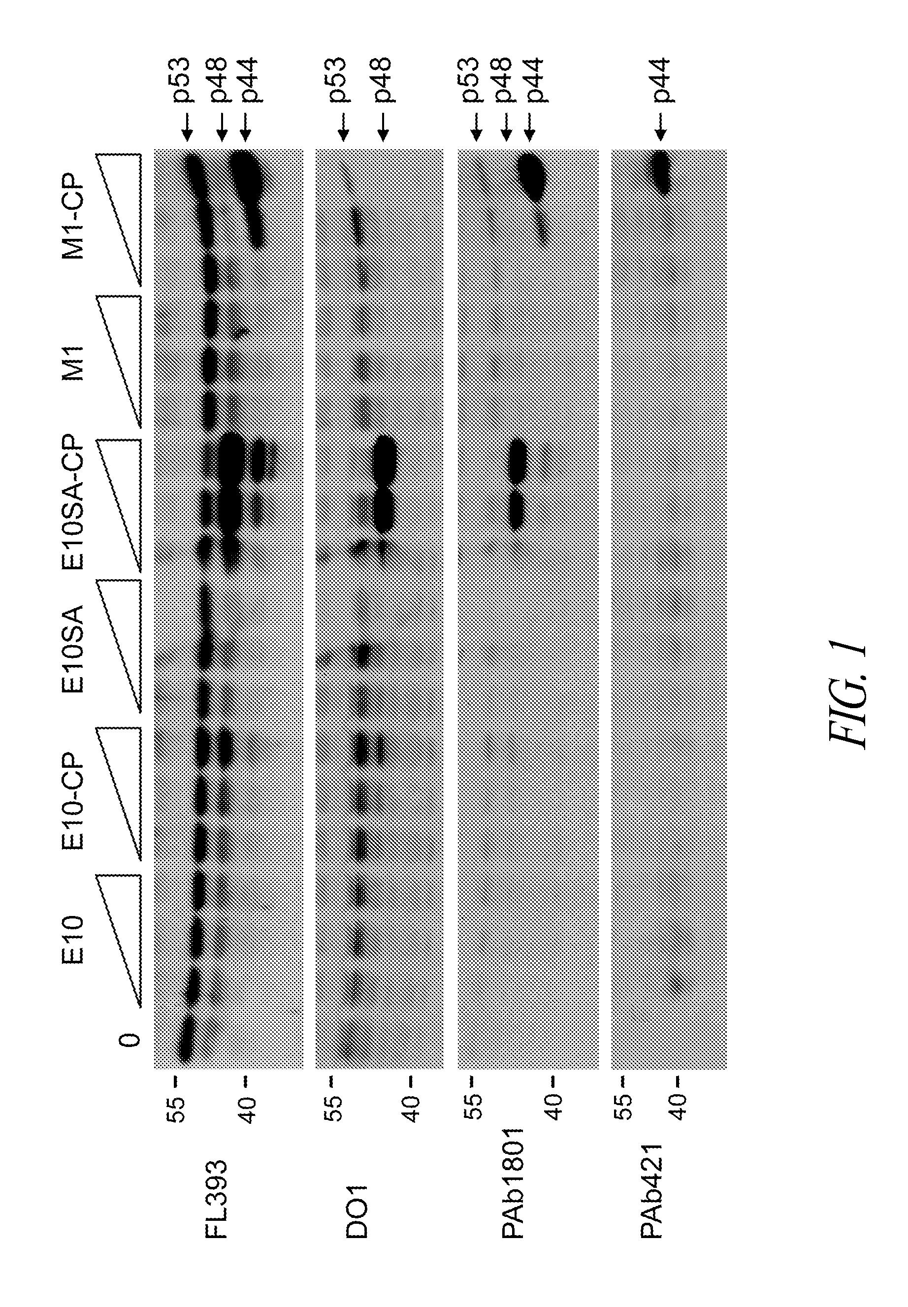 Methods and compositions for manipulating translation of protein isoforms from alternative initiation of start sites