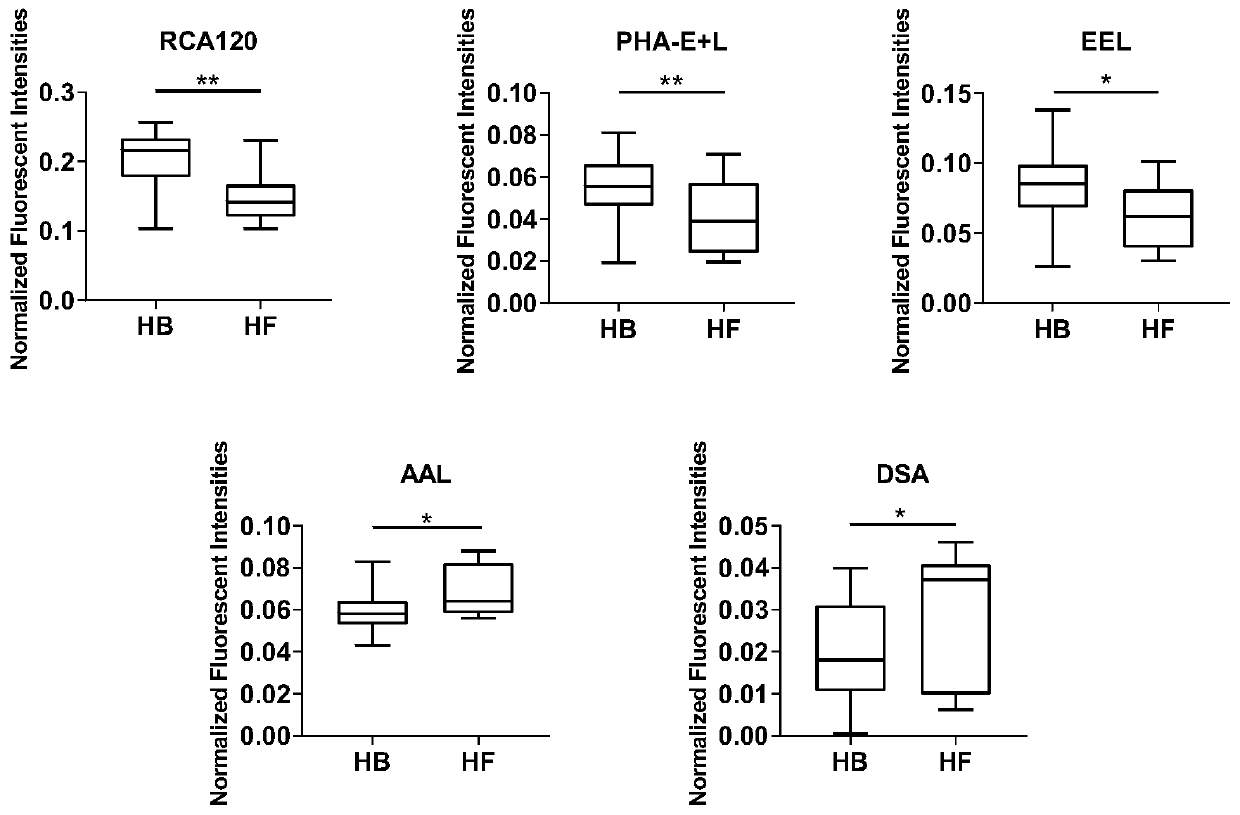 Application of specific lectin combination in constructing test tool for identifying liver fibrosis (HF) based on saliva glycoprotein sugar chain