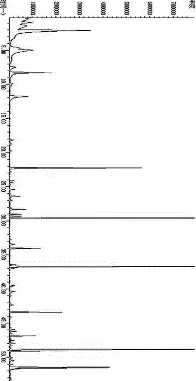 Onion fermentation method by virtue of added tetragenococcus halophilus