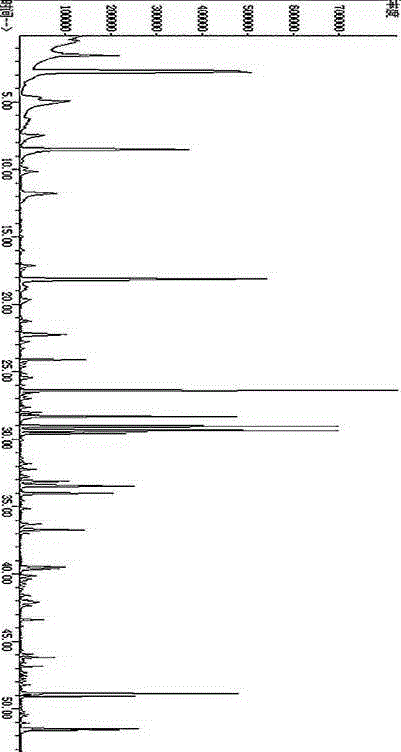 Onion fermentation method by virtue of added tetragenococcus halophilus