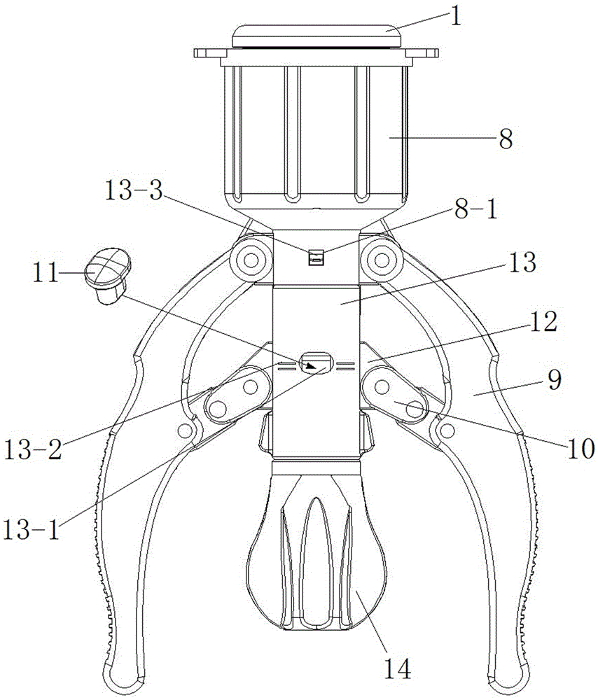 Operation firing window device of disposable prepuce cutting anastomat