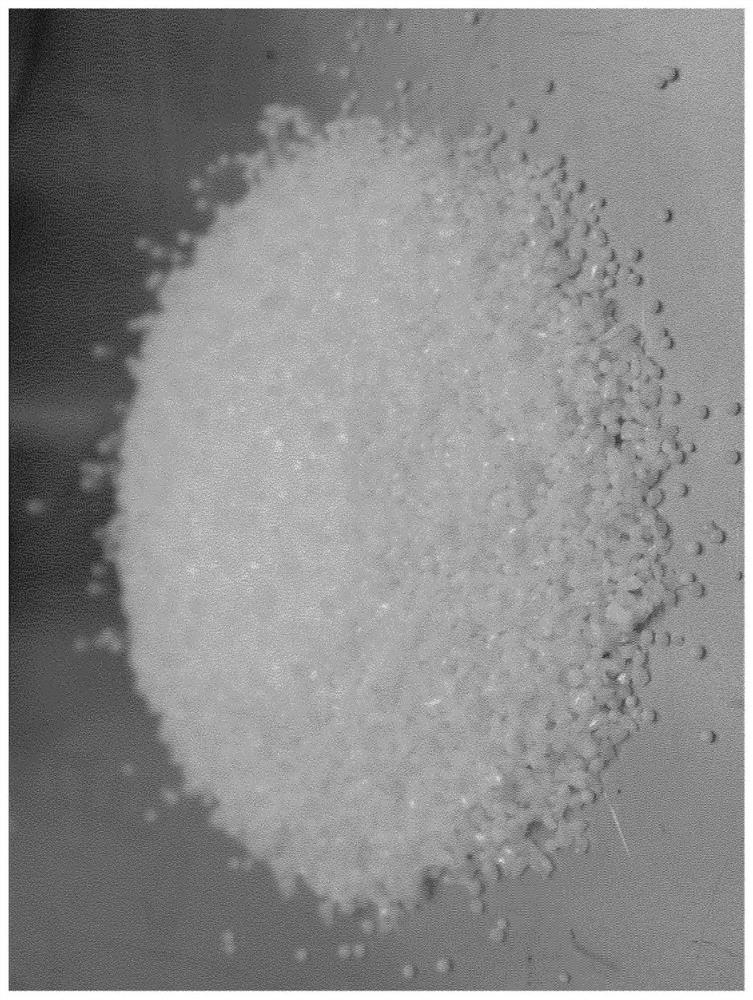 Fast release benzoic acid in feed