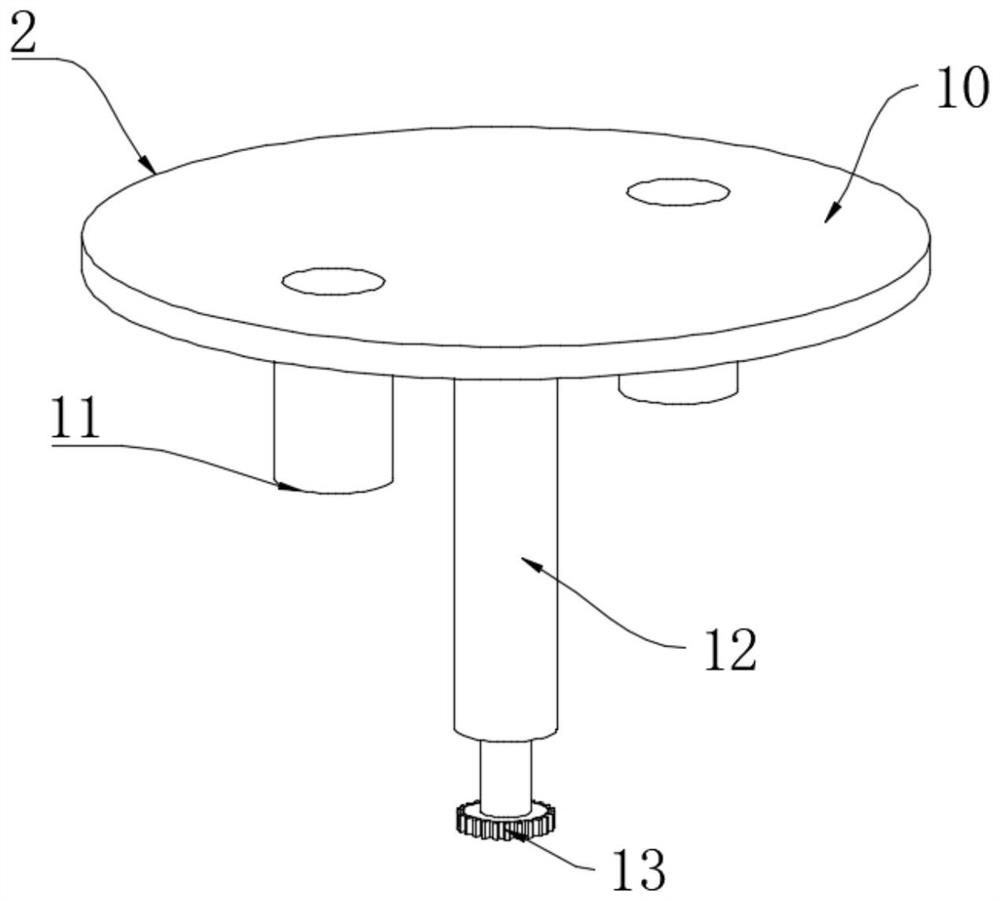 Diet Measuring Instrument Special For Pregnant Woman With Gestational 