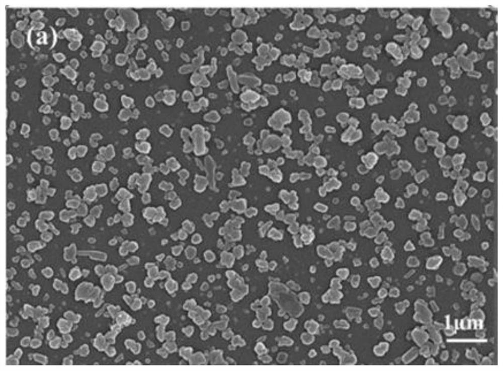 High-strength polylactic acid functional composite material with antibacterial and electromagnetic shielding properties and preparation method thereof