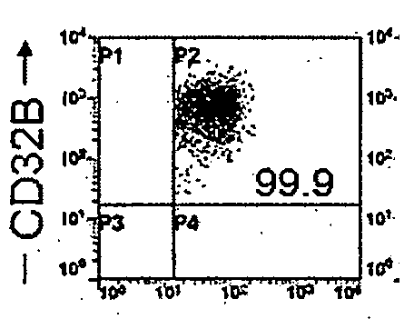 Methods of diagnosing, treating, or preventing plasma cell disorders