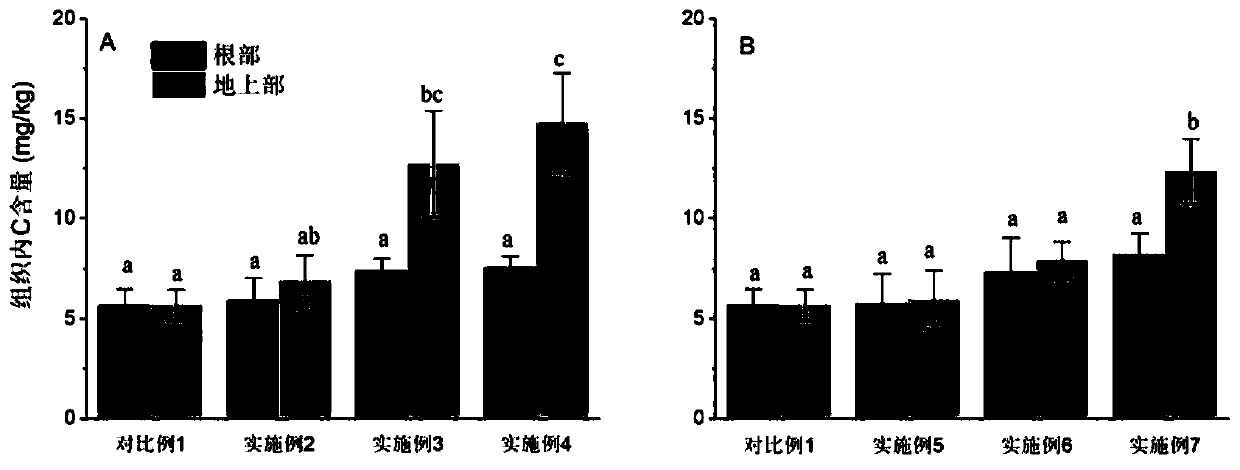 Method for repairing heavy metal cadmium contaminated soil by strengthening phytolacca americana through nitrogen fertilizer