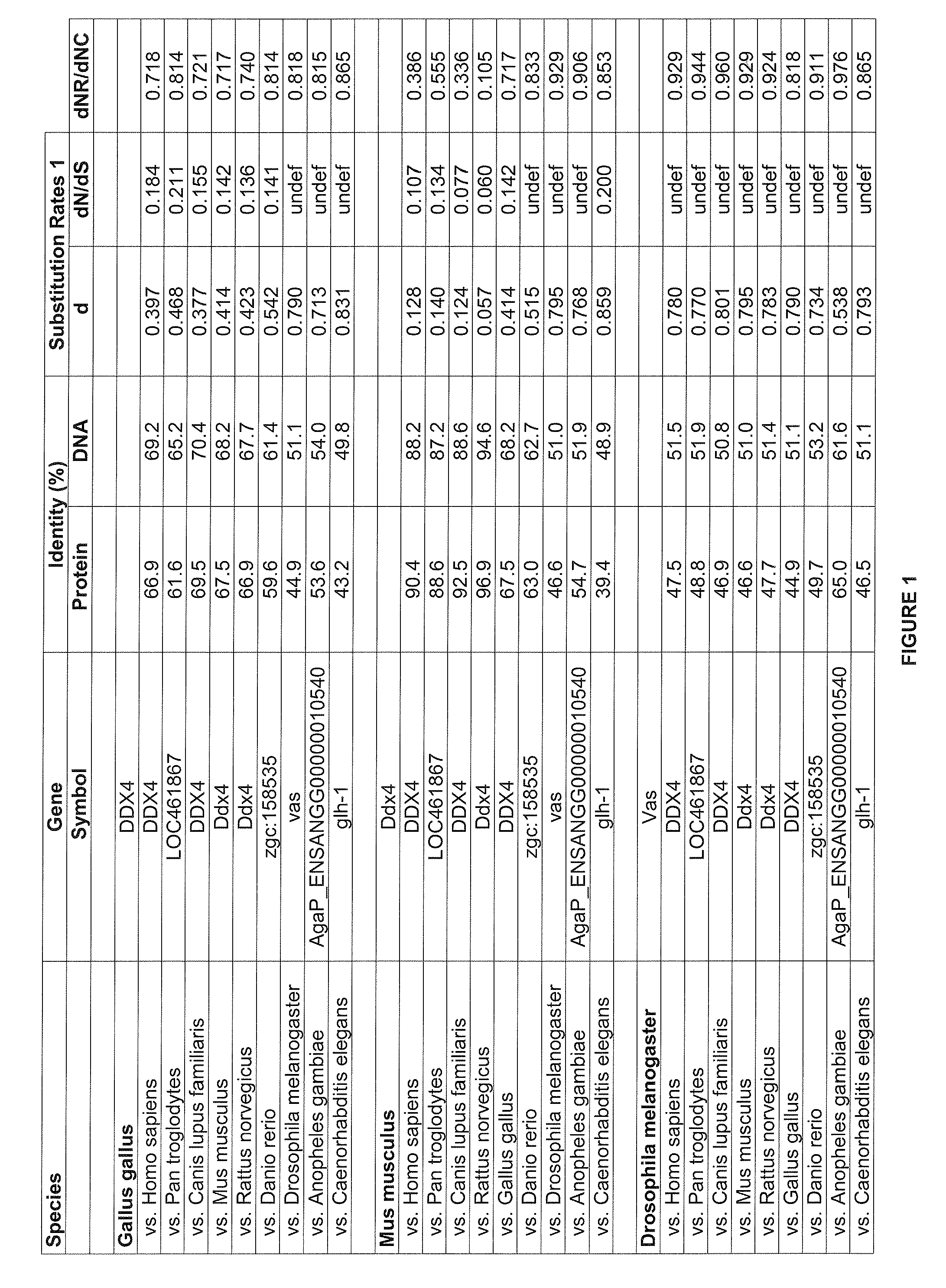 Method for reprogramming in vitro stem cells and somatic cells into germinal cells