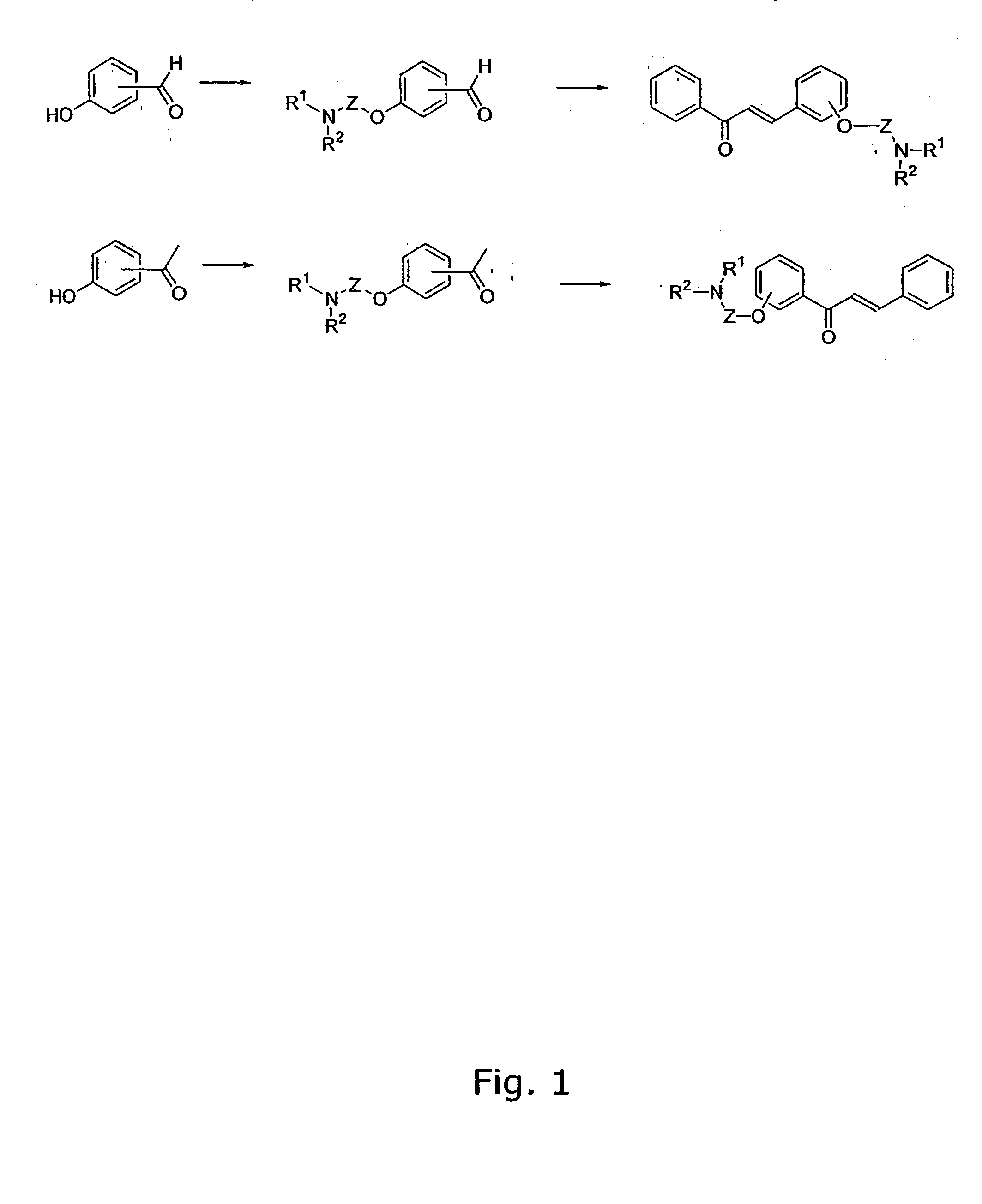 Aminoalkoxy-functional chalcones