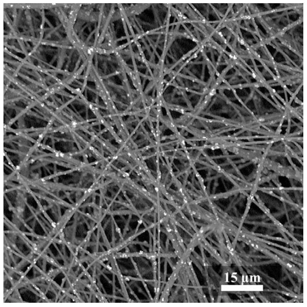 Composite fiber membrane for preventive protection of paper cultural relics and preparation method of composite fiber membrane