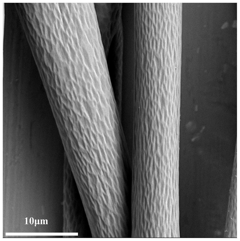 Composite fiber membrane for preventive protection of paper cultural relics and preparation method of composite fiber membrane