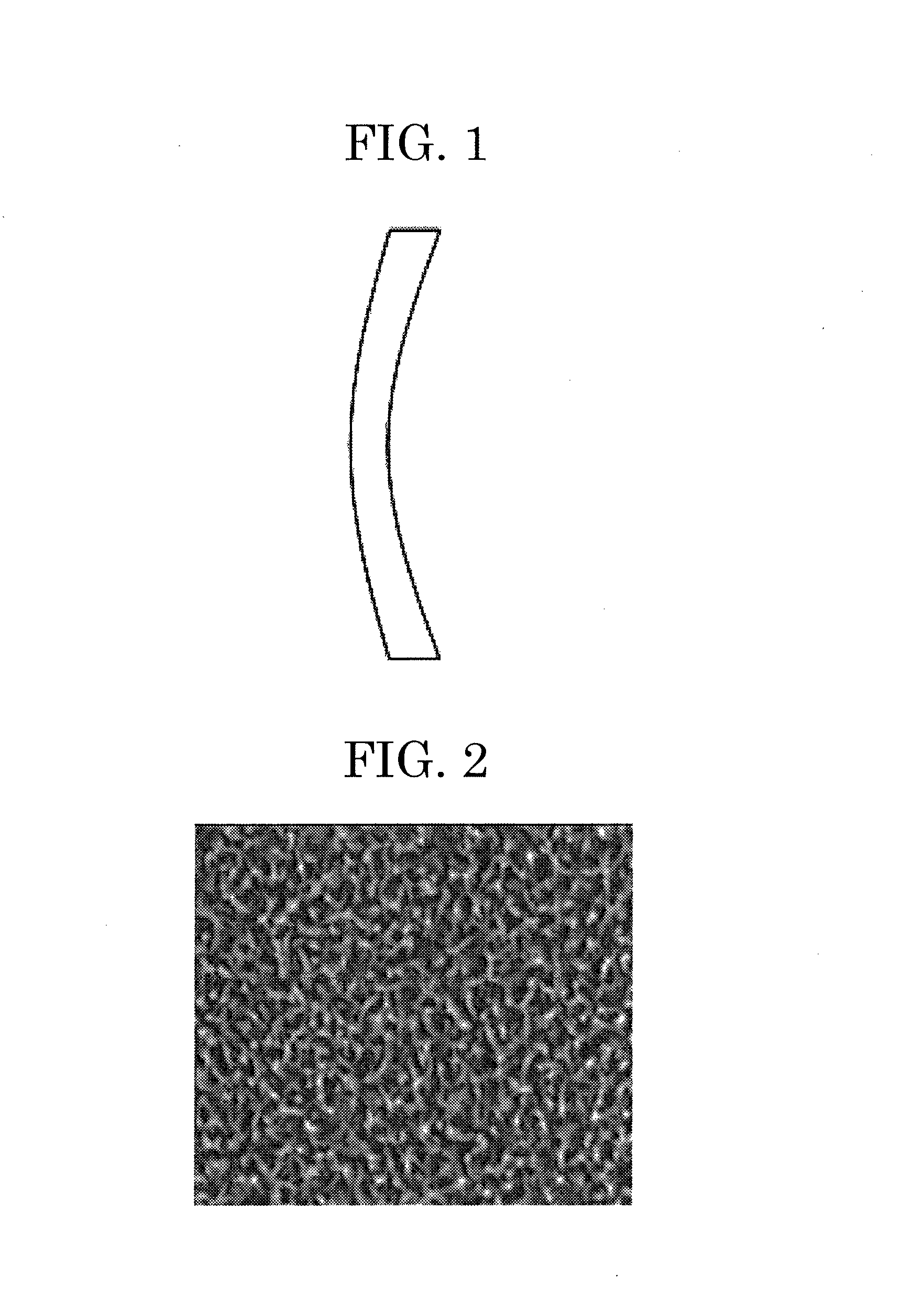 Optical member and method for producing same