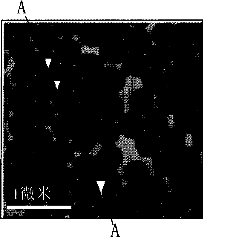 Surface-enhanced Raman substrate based on diamond-like carbon film modified metal nano structure and preparation method thereof