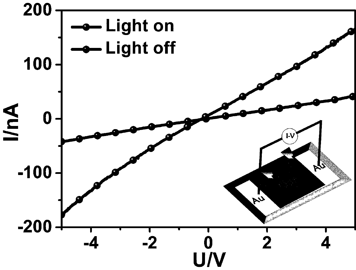 High-stability bismuth-iodine hybrid light absorber, preparation and application thereof