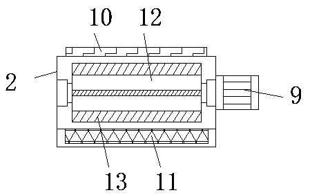 Size classification conveying device for fruit processing