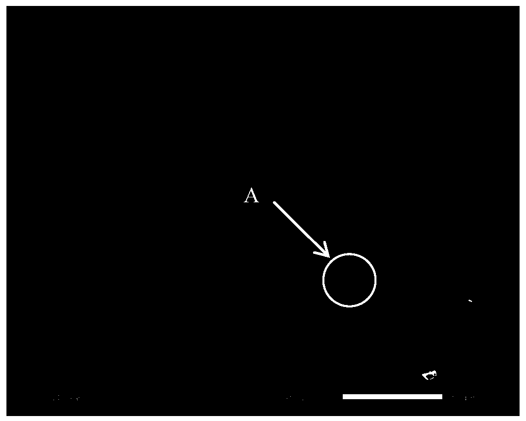 Sr-Zr-Ti ternary composite microalloyed Al-Si-Cu line cast aluminium alloy and preparation method