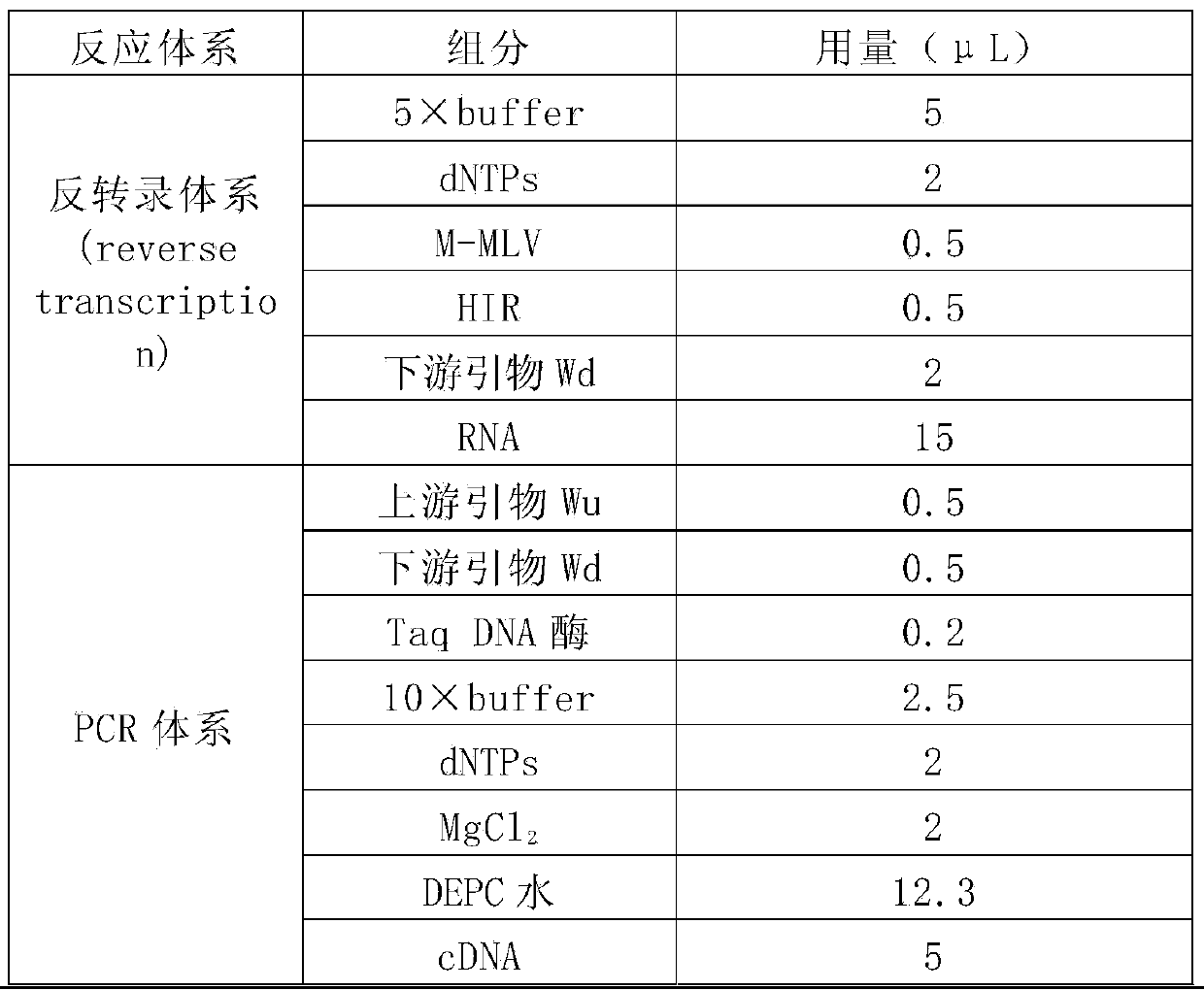 General RT-PCR (reverse transcription-polymerase chain reaction) primer and kit for detecting foot and mouth disease viruses