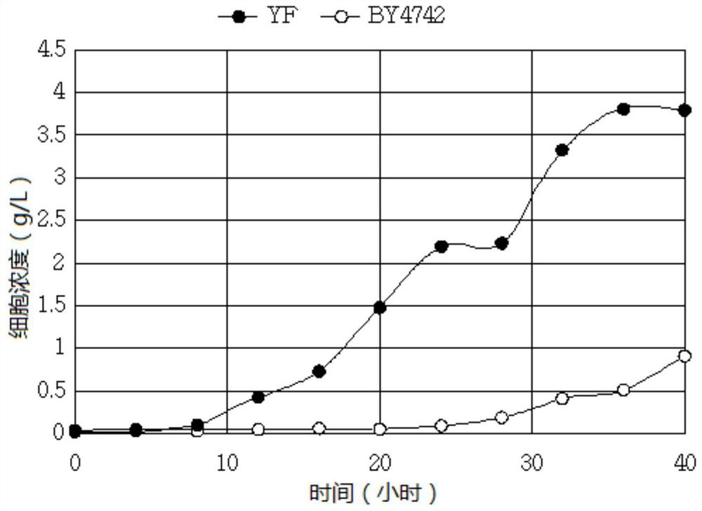 Mixed bacteria system, method for decomposing hemicellulose using same and method for producing alcohol