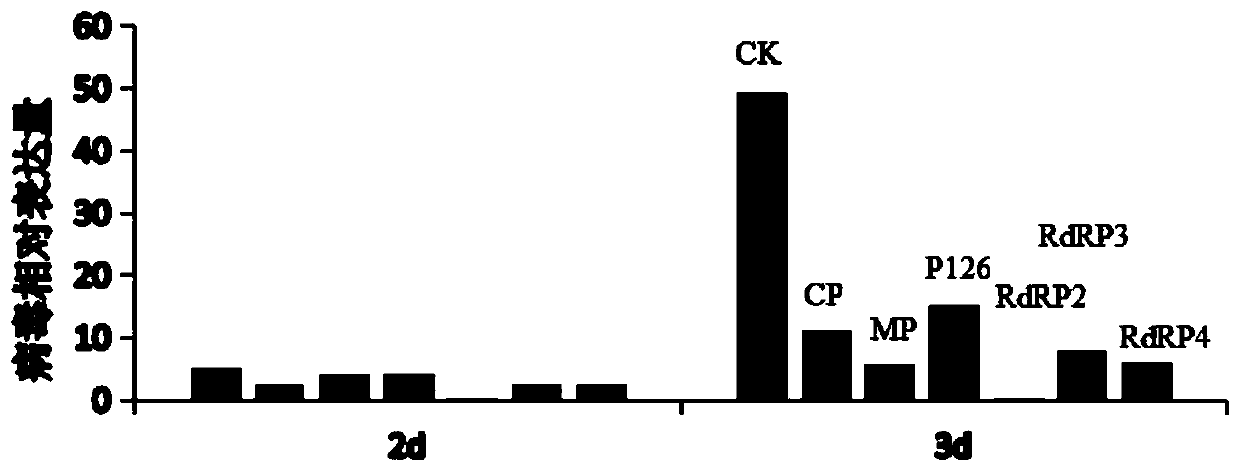 RNAi nano preparation and preparation method and application thereof in prevention and treatment of TMV