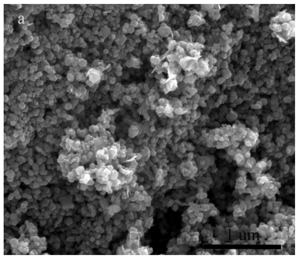 Magnetic nanoparticle ferroferric oxide as well as preparation method and application thereof