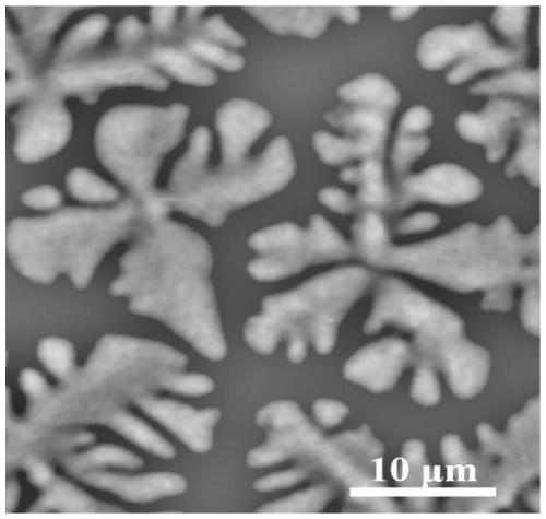Lithium precipitation and crystallization method for preparing snowflake-shaped monocrystalline high-purity lithium carbonate