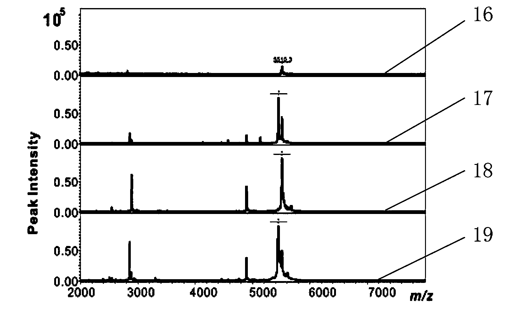 Kit for detecting low-abundance and low-molecular-weight protein spectrum