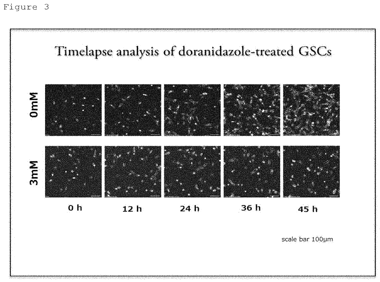 Cancer stem cell inhibitor