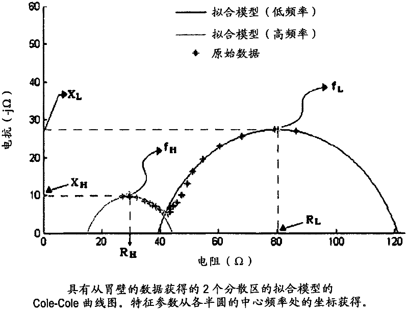 System and method for characteristic parameter estimation of gastric impedance spectra in humans