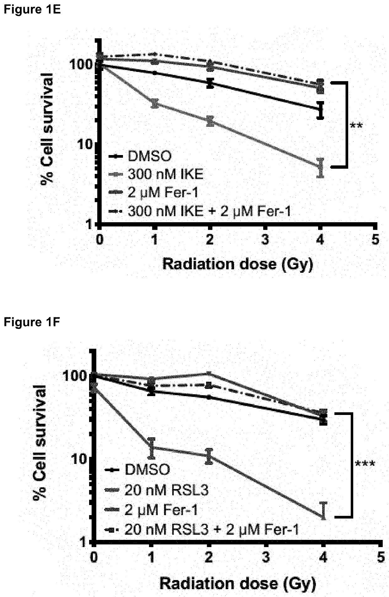 Methods of enhancing radiotherapy using ferroptosis inducers as radiosensitizers