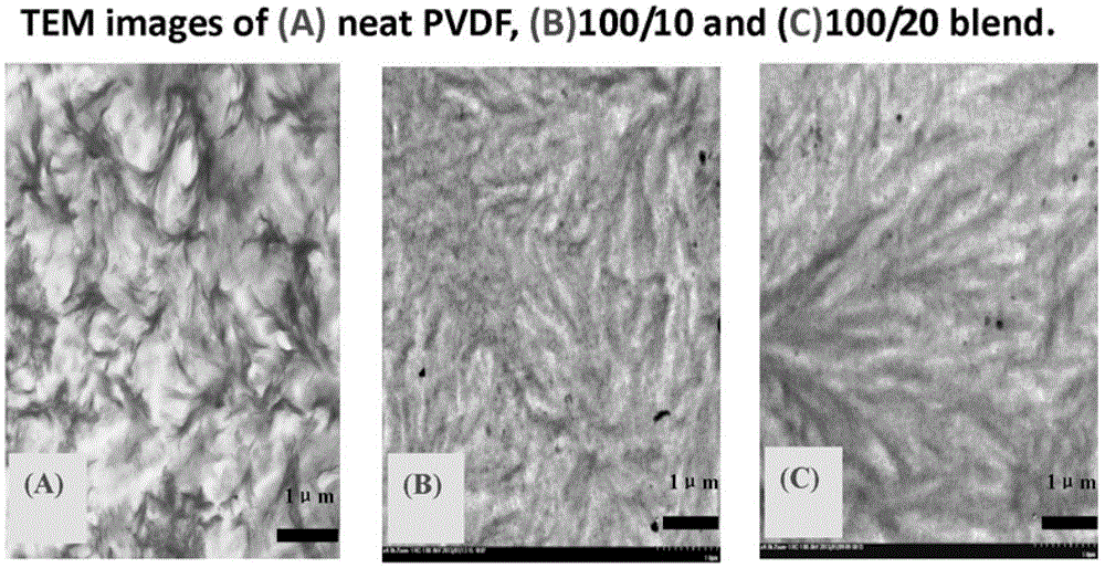 Transparent permanent antistatic transparent polyvinylidene fluoride composition and preparation method thereof